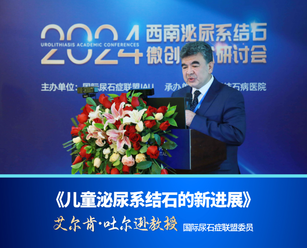 国际尿石症联盟领衔：全国性高规格学术会议在四川结石病医院隆重召开(图10)