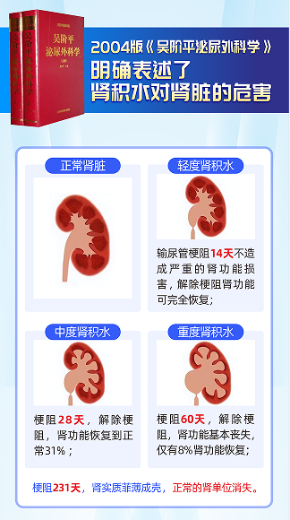 成都肾结石专科医院科普:肾结石是如何导致你的肾脏走向萎缩的?(图3) 成都肾结石专科医院科普:肾结石是如何导致你的肾脏走向萎缩的?(图3)