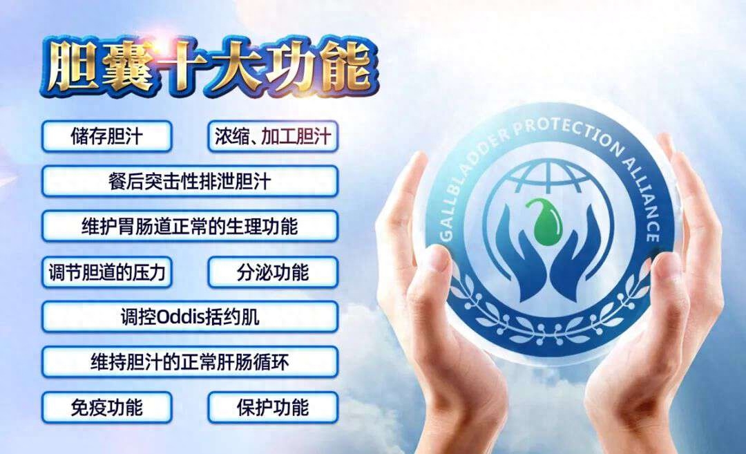 结石不痛=安全?大错特错!何明刚主任揭穿胆囊结石的“伪装”(图3) 结石不痛=安全?大错特错!何明刚主任揭穿胆囊结石的“伪装”(图3)