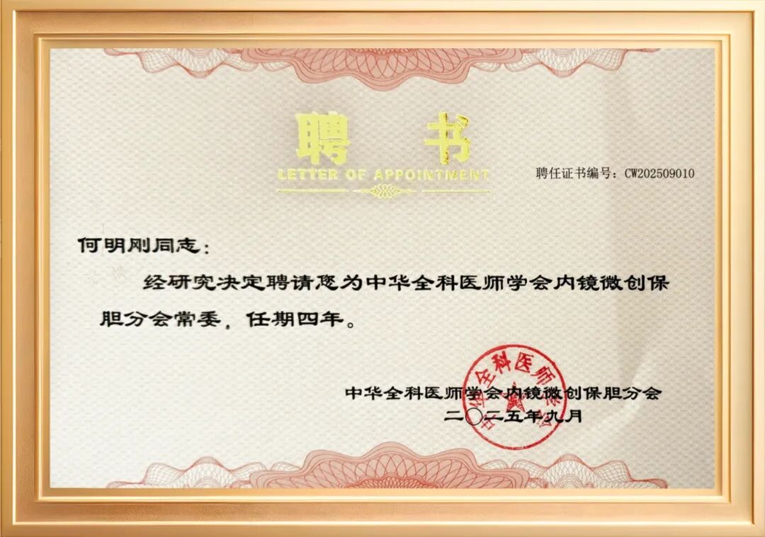 2025年度|四川结石病医院肝胆外科：深耕亚专科，绘就精准医疗蓝图(图7)