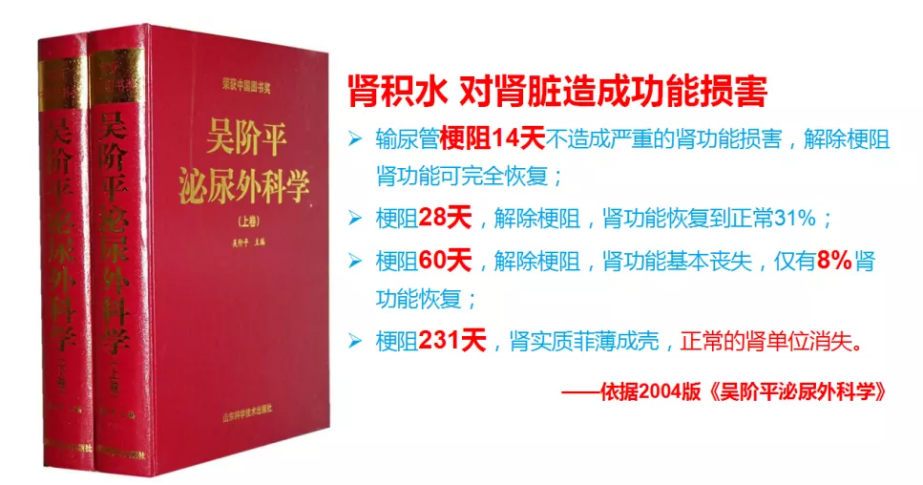 仅三个月！结石梗阻到肾功能重度受损【四川肾结石医院】(图2)